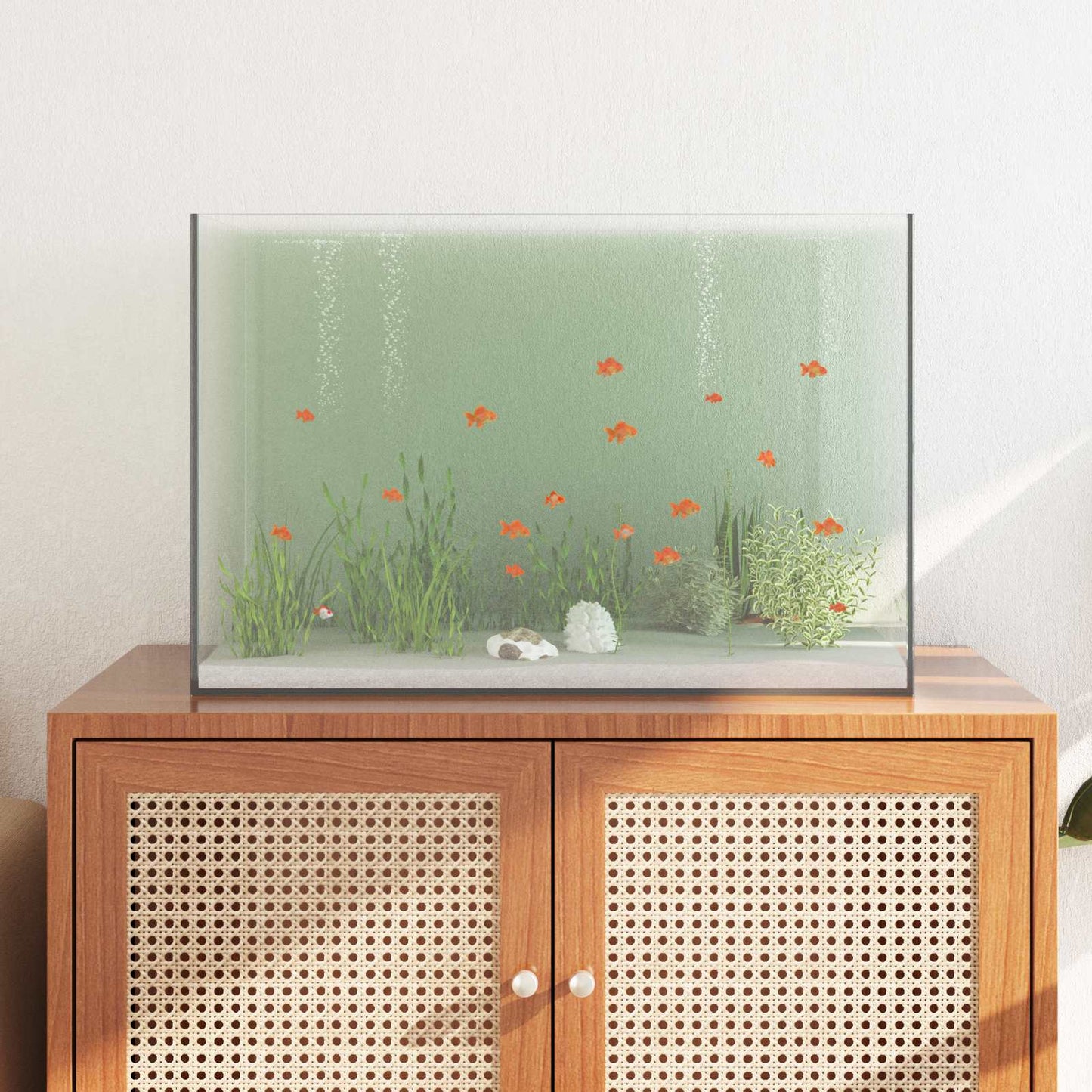Aquarium Met Opslag Doorzichtig Glas