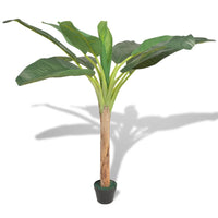 Kunst Bananenboom Met Pot Groen