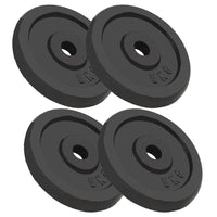 Halterschijven 2 St 2X15 Kg Gietijzer