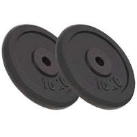 Halterschijven 2 St 2X15 Kg Gietijzer