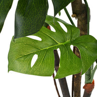 Kunstplant Met Pot Groen