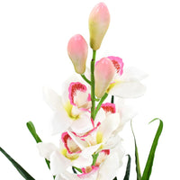 Kunstplant Met Pot Cymbidium Orchidee 100 Cm