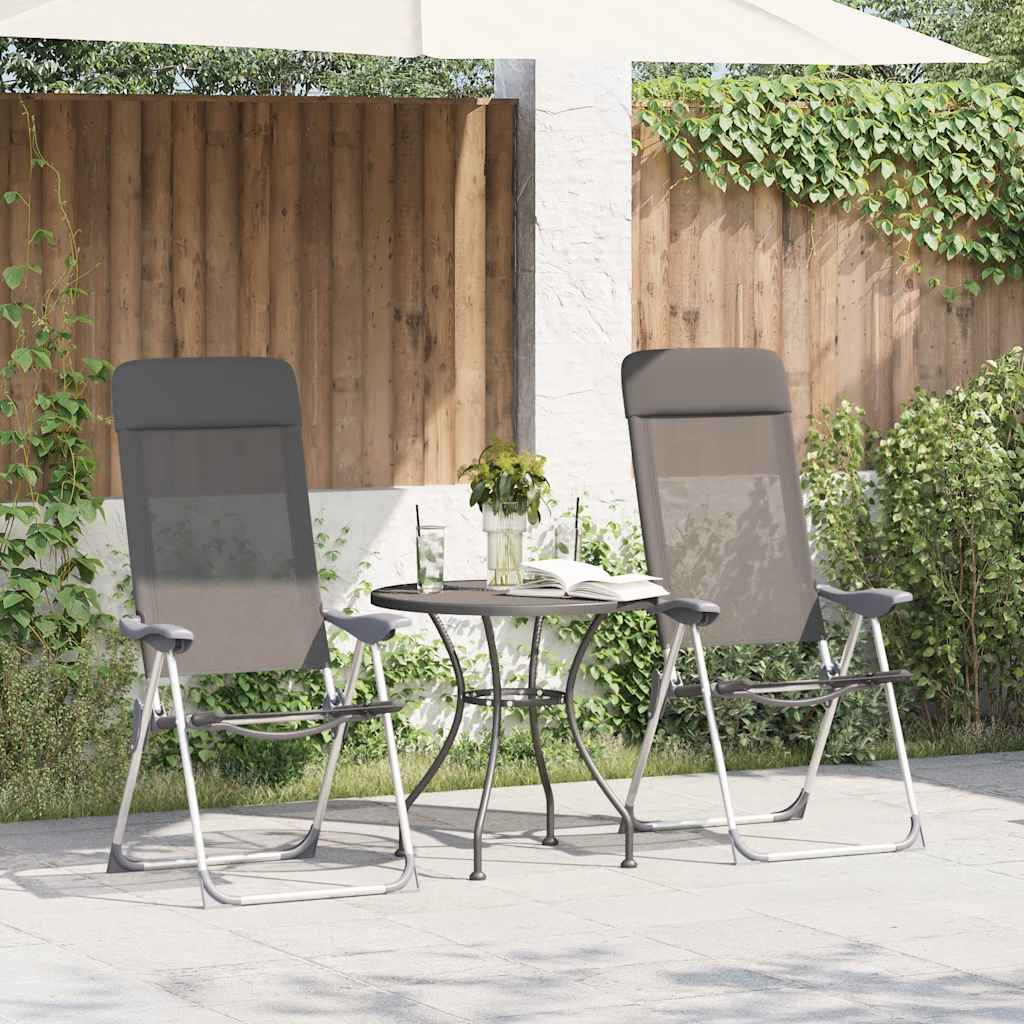 Campingstoelen Inklapbaar Aluminium 2 St