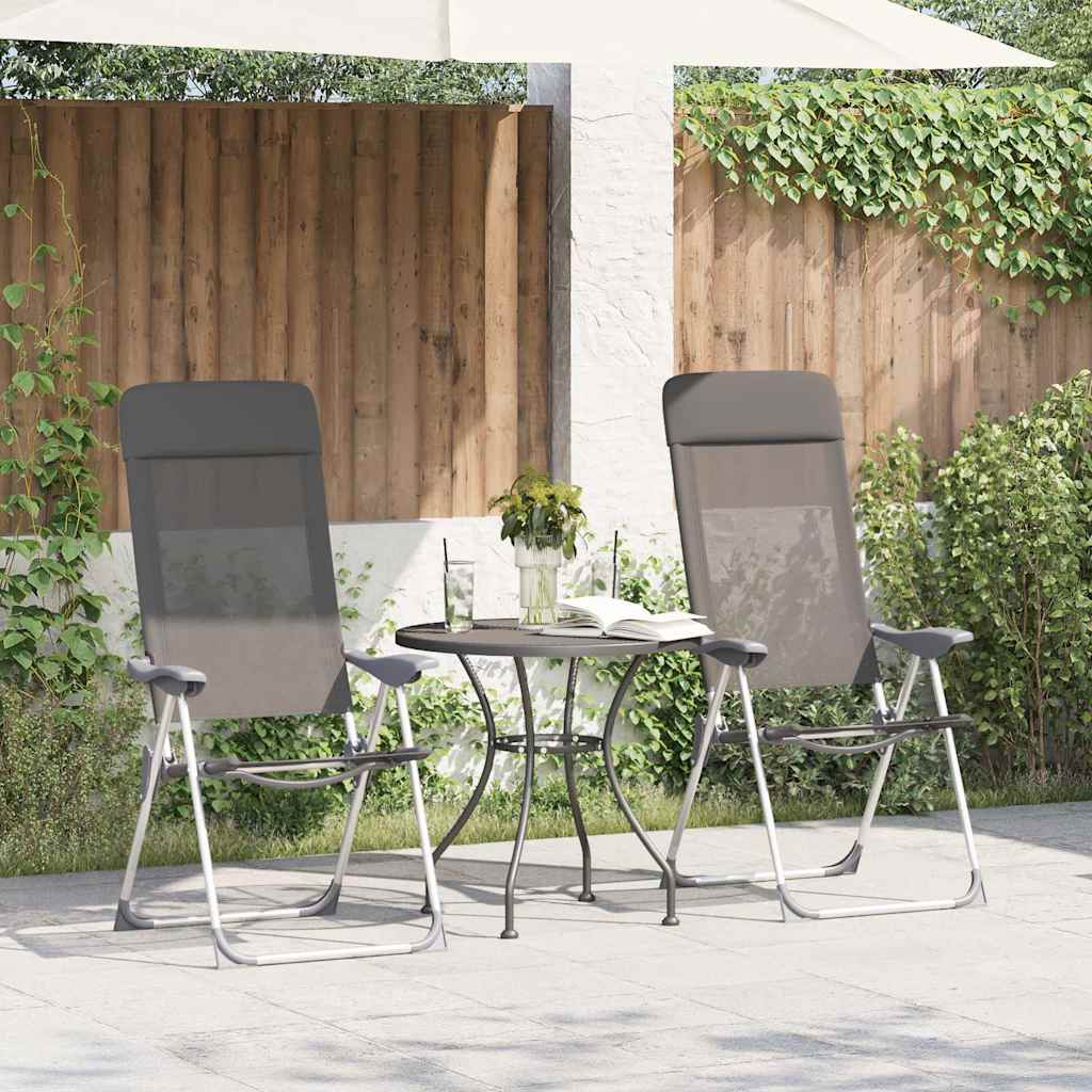 Campingstoelen Inklapbaar Aluminium 2 St