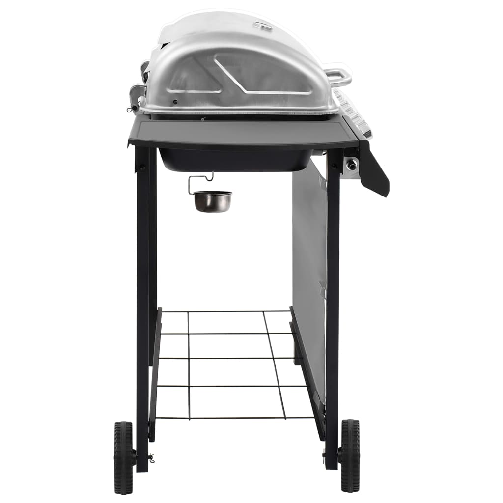 Gasbarbecue Met Kleurig