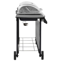 Gasbarbecue Met Kleurig