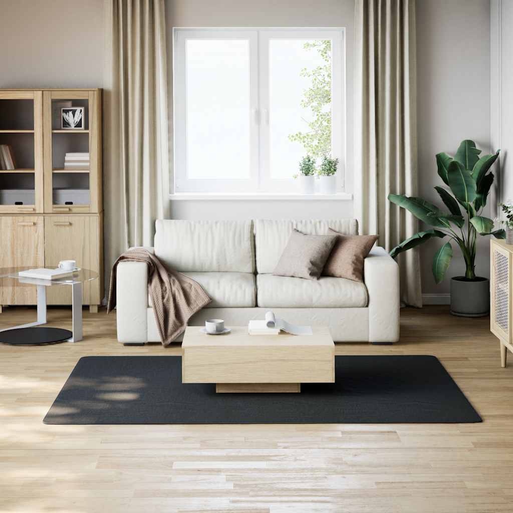 Vloerkleed Wasbaar Korte Pool Anti-Slip