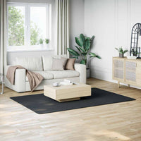 Vloerkleed Wasbaar Korte Pool Anti-Slip