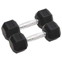 Halters 2 St 16 Kg Totaal Gietijzer