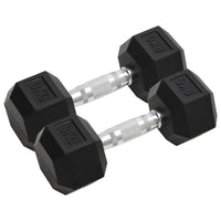 Halters 2 St 16 Kg Totaal Gietijzer
