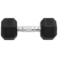 Halters 2 St 16 Kg Totaal Gietijzer