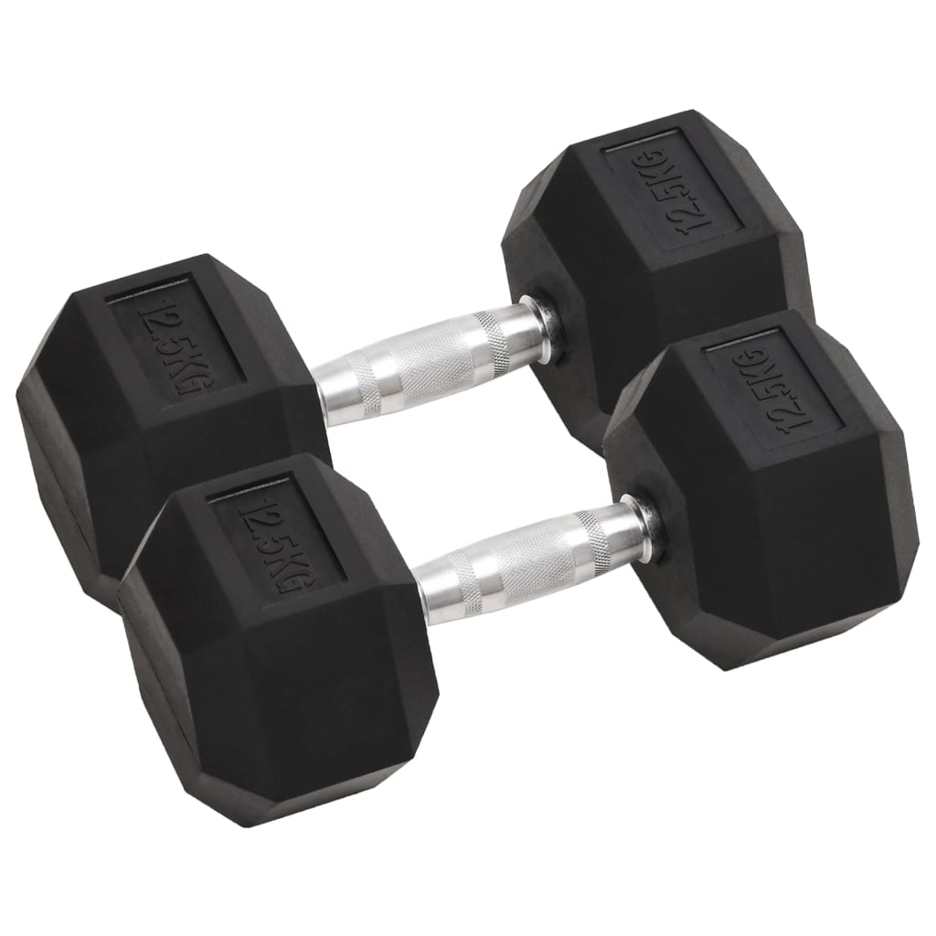 Halters 2 St 16 Kg Totaal Gietijzer