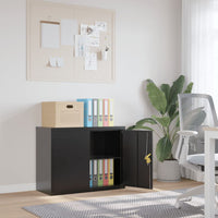Archiefkast Staal