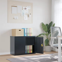 Archiefkast Staal
