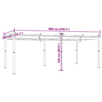 Prieel Met Uittrekbaar Dak 3X6 M Aluminium Kleurig