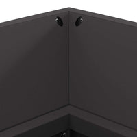 Vuurkorf Zwart 160 X 45 X 35 Cm Staal