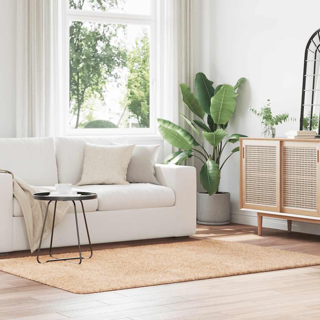 Hoogpolig Vloerkleed Navarra Polyester Beige