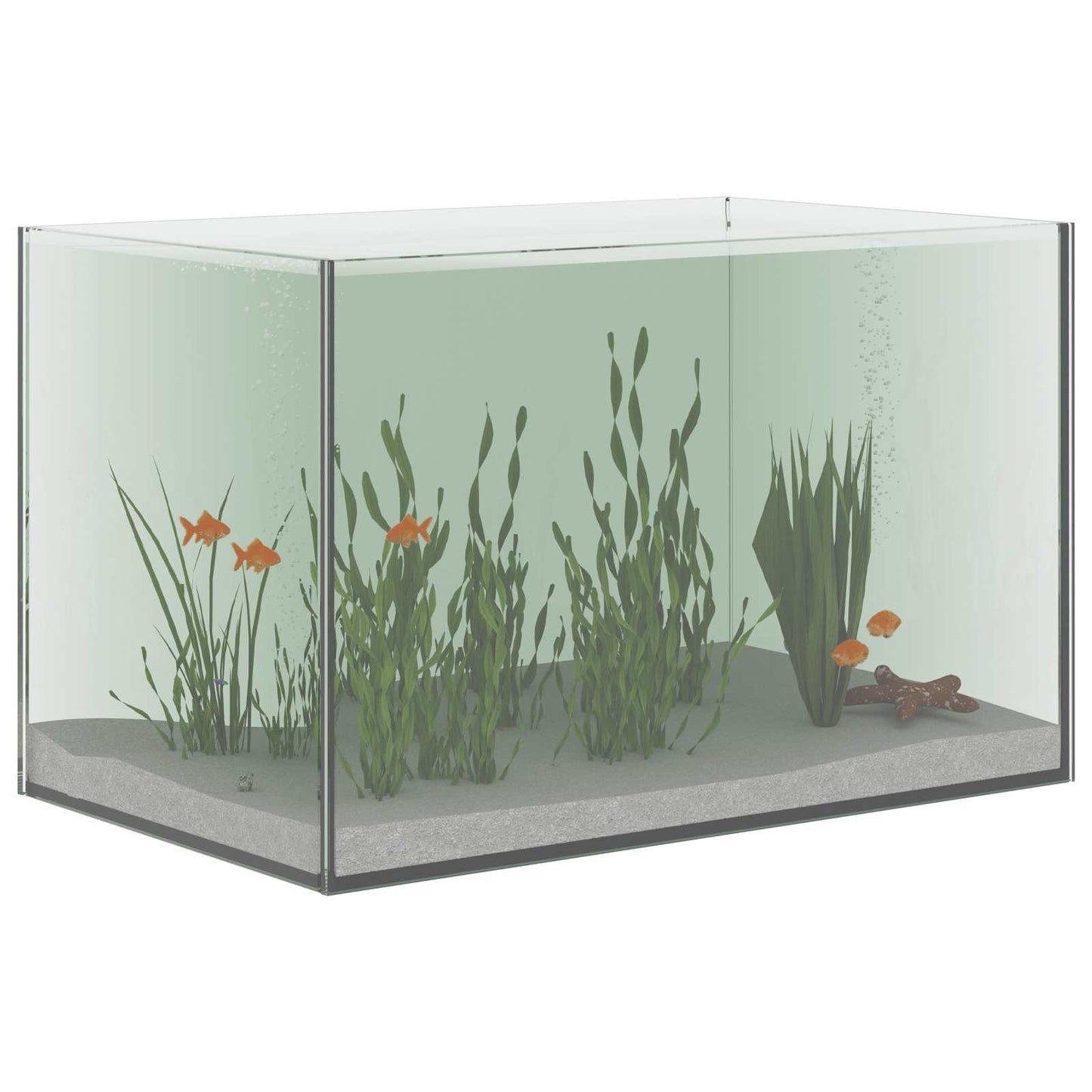 Aquarium Met Opslag Doorzichtig Glas