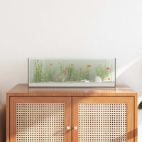 Aquarium Met Opslag Doorzichtig Glas