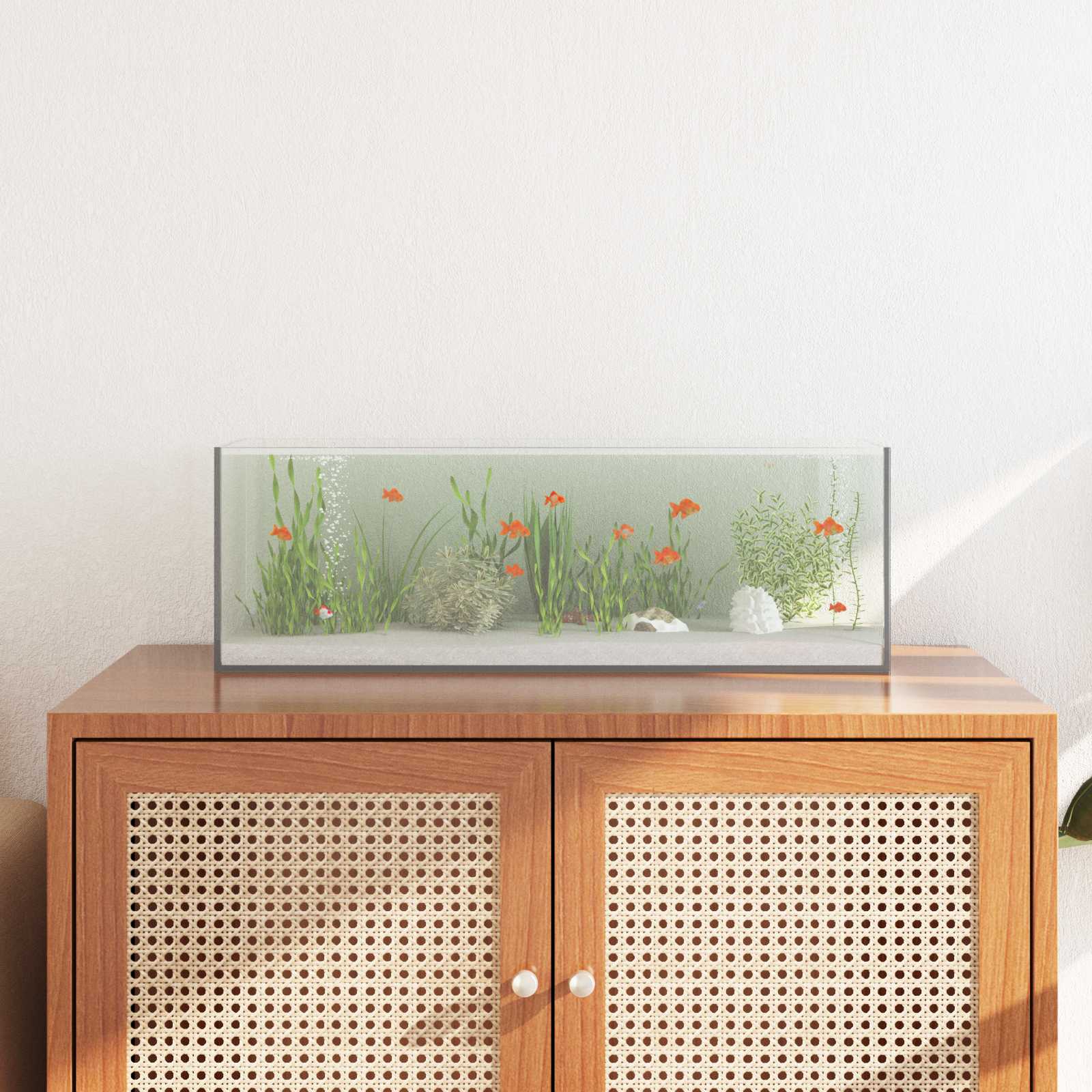 Aquarium Met Opslag Doorzichtig Glas