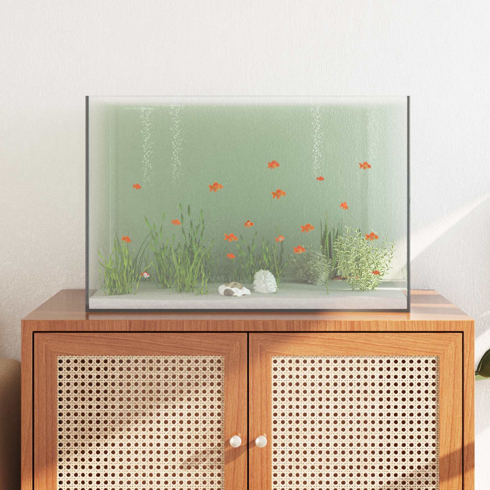 Aquarium Met Opslag Doorzichtig Glas