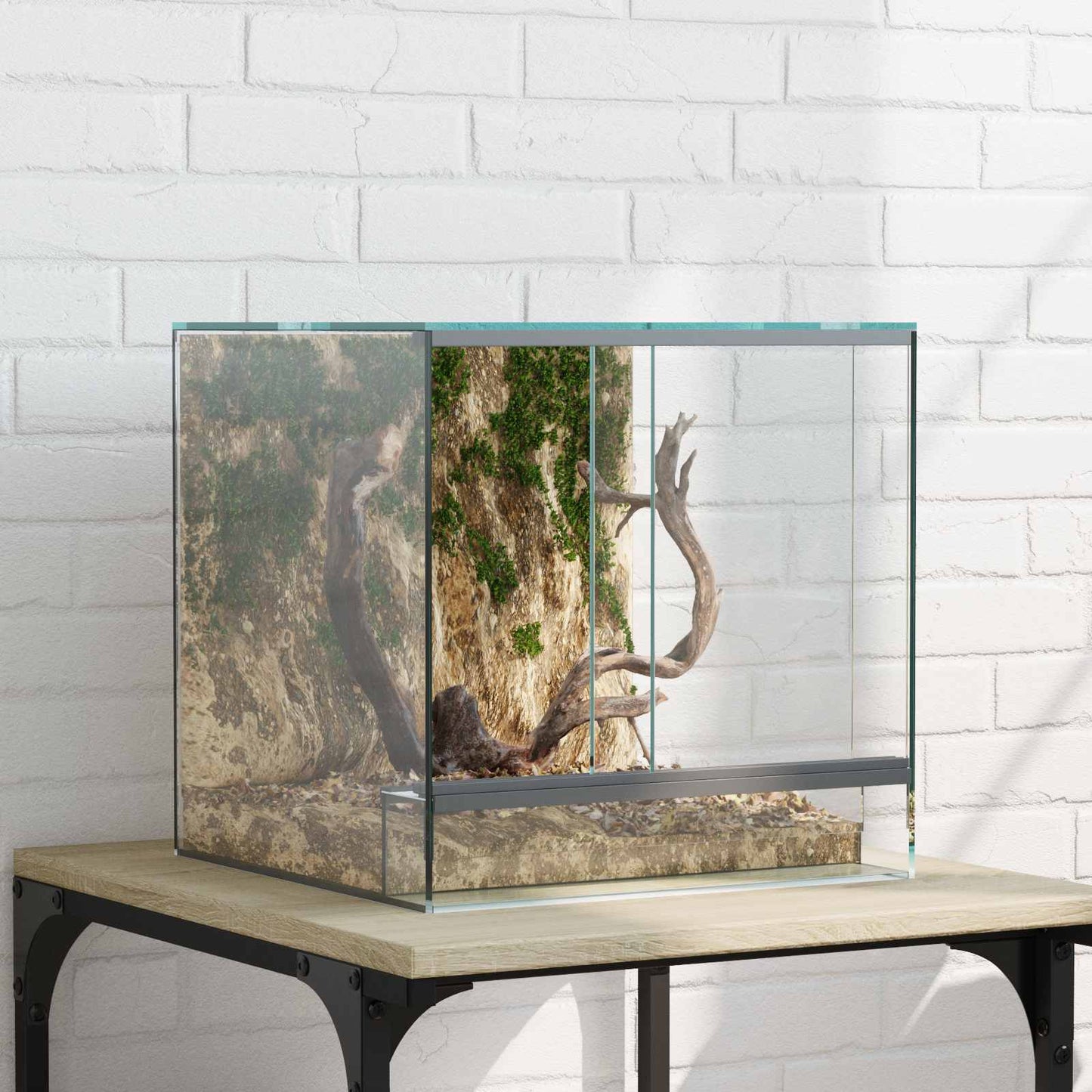 Terrarium Met Opslag Doorzichtig Glas
