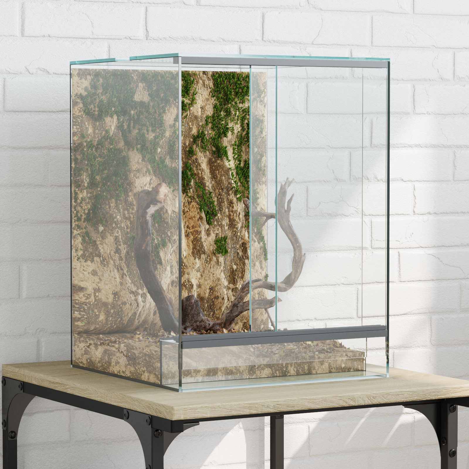 Terrarium Met Opslag Doorzichtig Glas