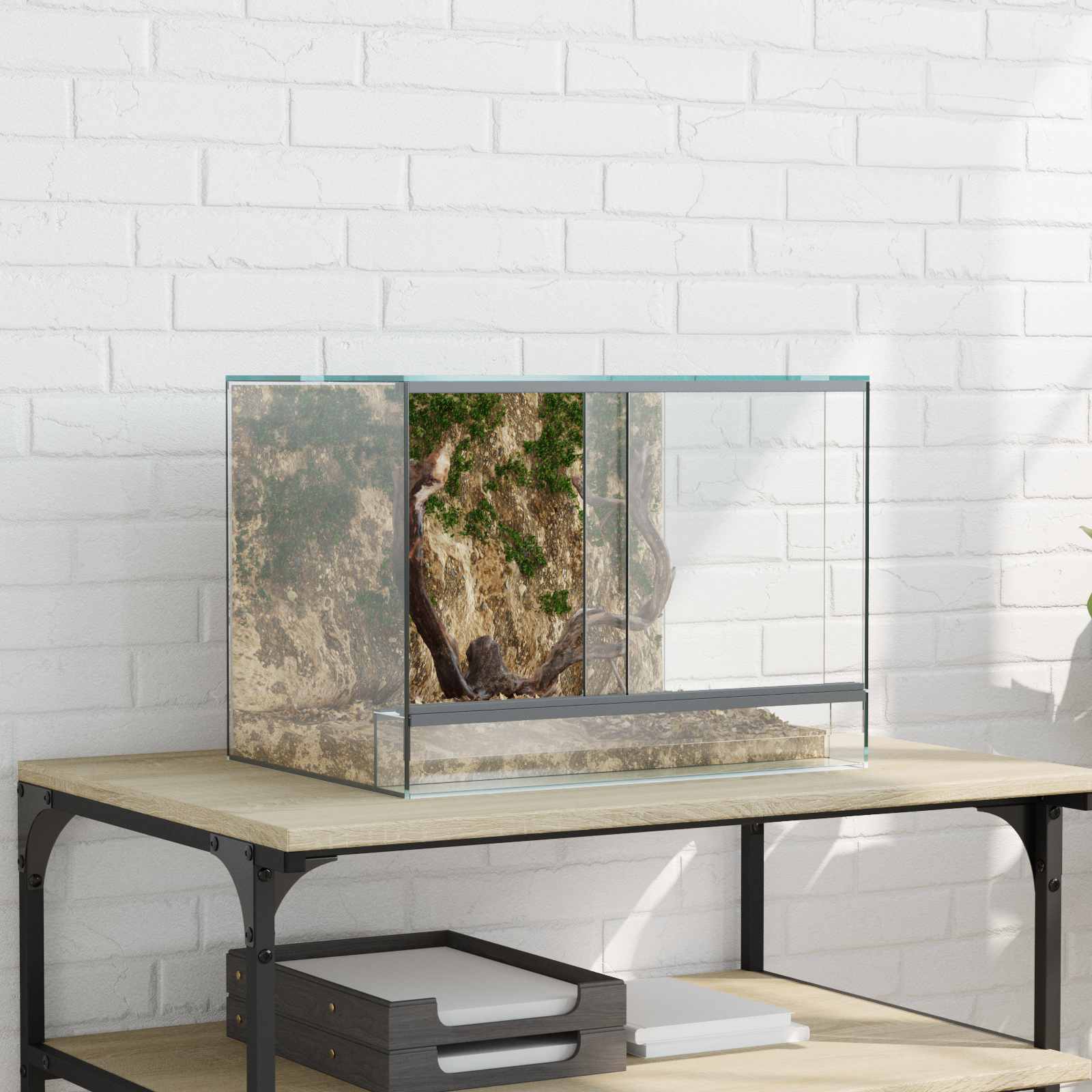Terrarium Met Opslag Doorzichtig Glas