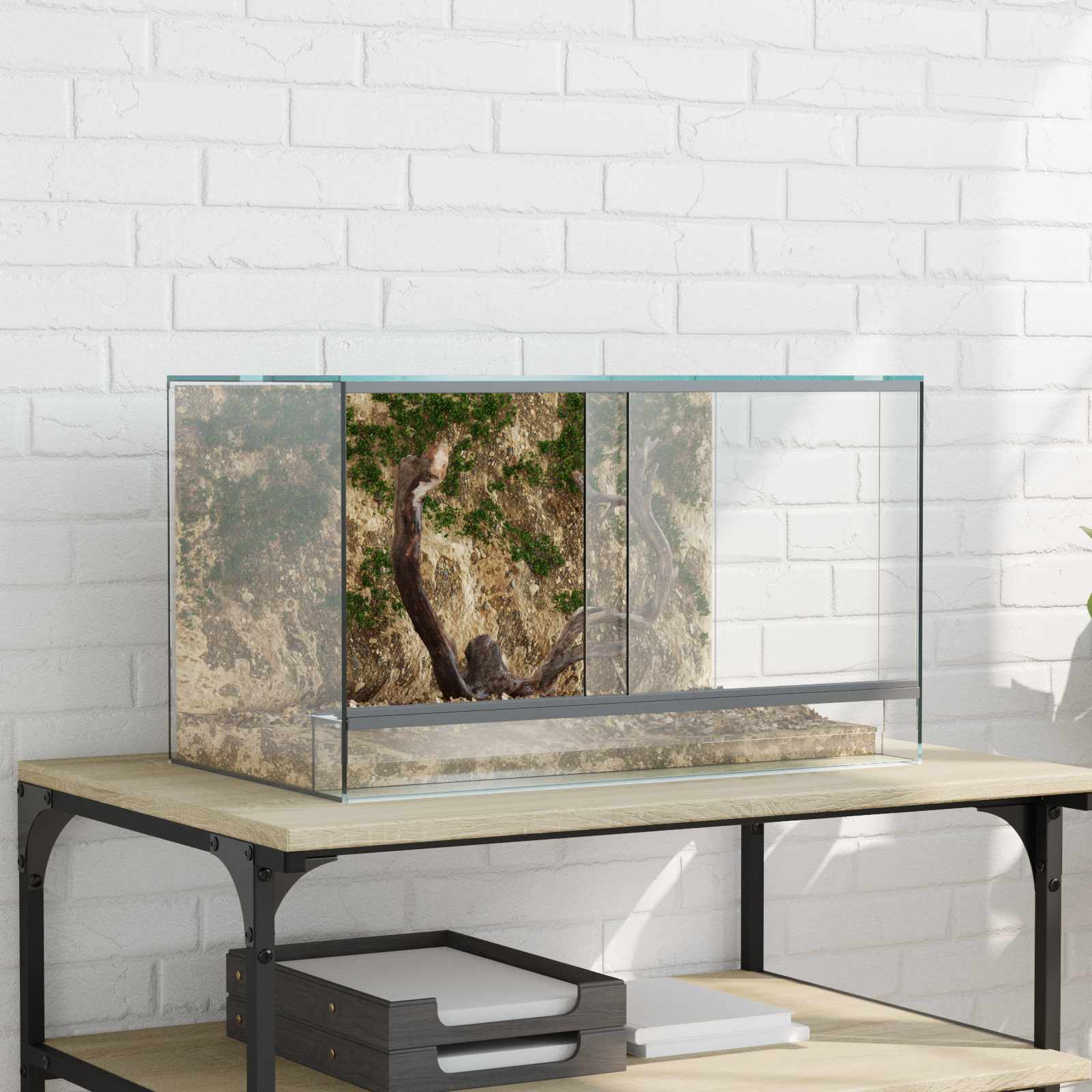 Terrarium Met Opslag Doorzichtig Glas