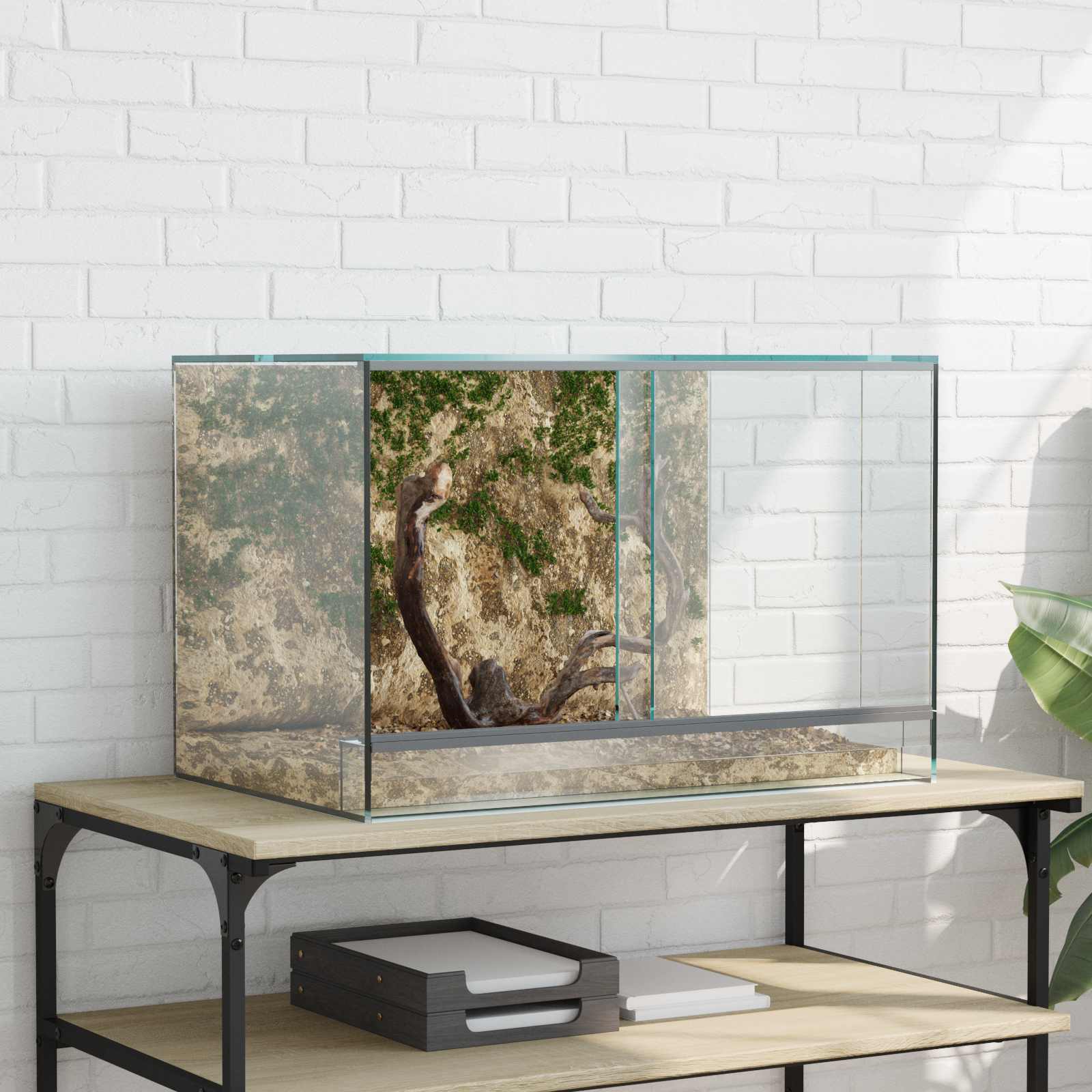 Terrarium Met Opslag Doorzichtig Glas