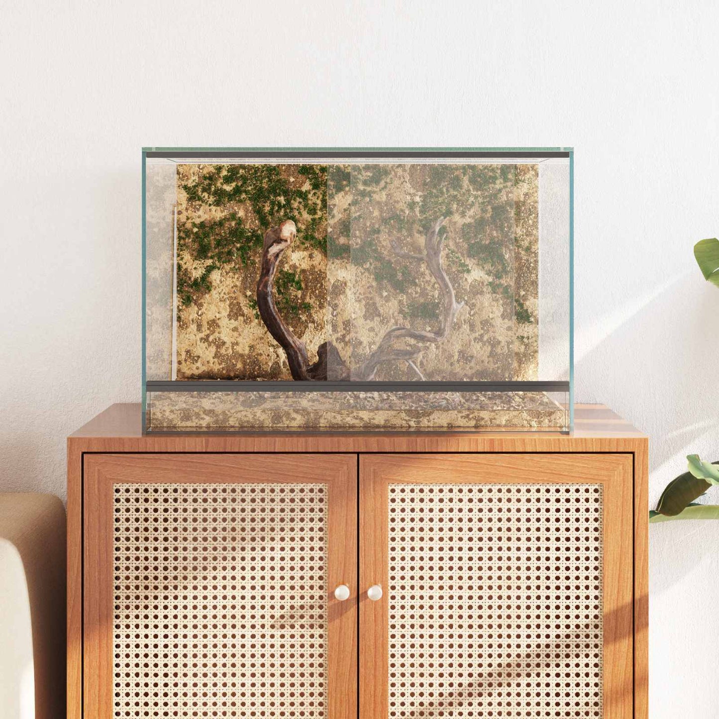Terrarium Met Opslag Doorzichtig Glas