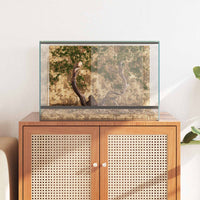 Terrarium Met Opslag Doorzichtig Glas