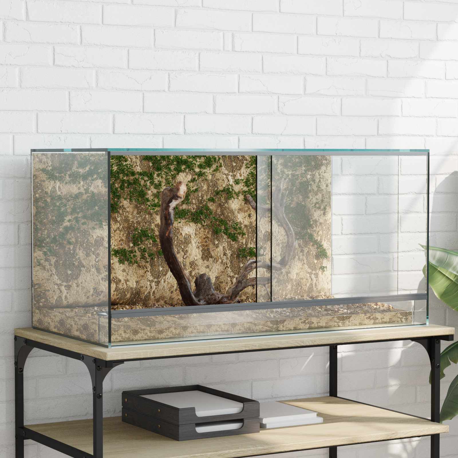 Terrarium Met Opslag Doorzichtig Glas